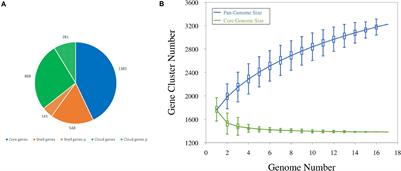 Comparative Genomics of Leuconostoc carnosum